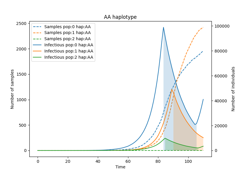 _images/AA_haplotype.png